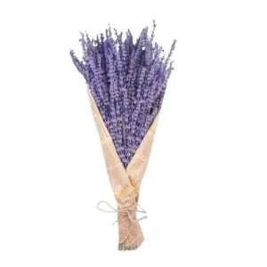 CPAP-store-usa-dried-lavender-flowers-bedroom-shower-sleep-apnea-cpap-store-los-angeles-PNG
